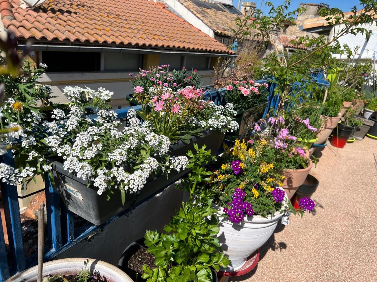 Loft Apartment , La Terrasse Centre Ville D'Arles, Buitenkant foto